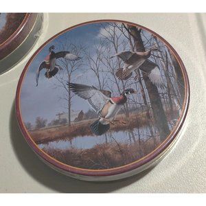 Vtg Dave Maass Duck 9.75" Round Tin Lake City Minnesota Wild Wings Artwork Rare